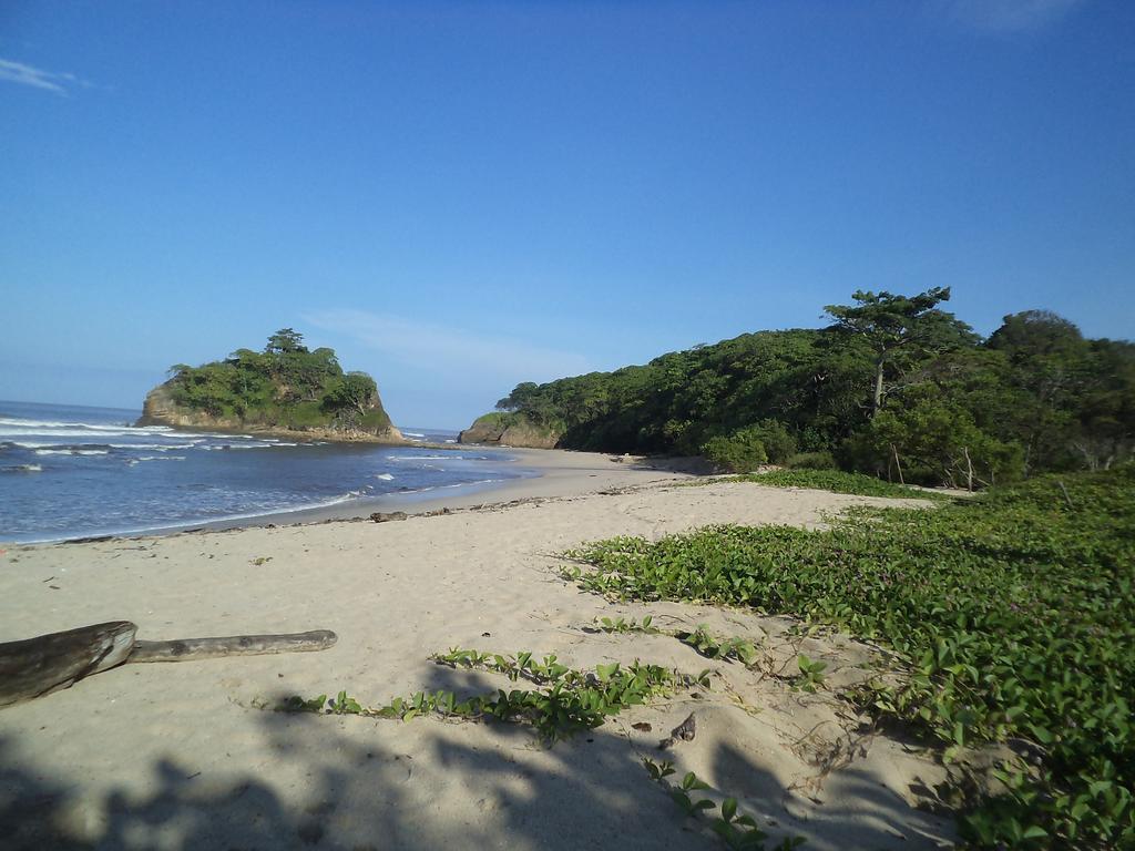 Villa Mango B&B Nosara Bagian luar foto