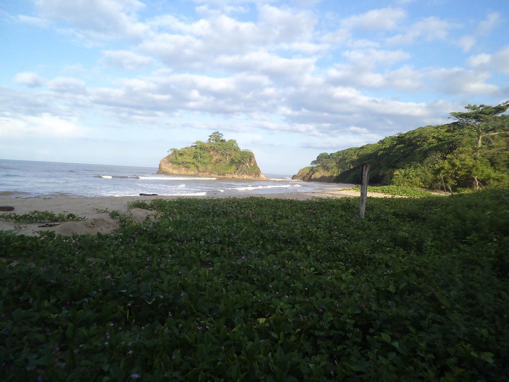 Villa Mango B&B Nosara Bagian luar foto