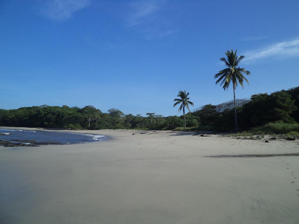 Villa Mango B&B Nosara Bagian luar foto