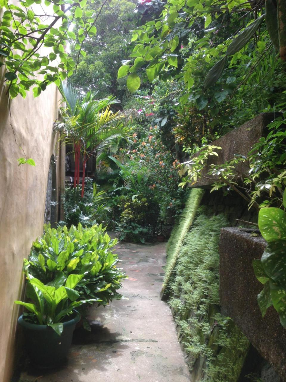 Villa Mango B&B Nosara Bagian luar foto